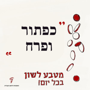 מטבע לשון בכל יום! כפתור ופרח
