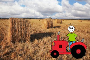 ניבים מתנובת השדה