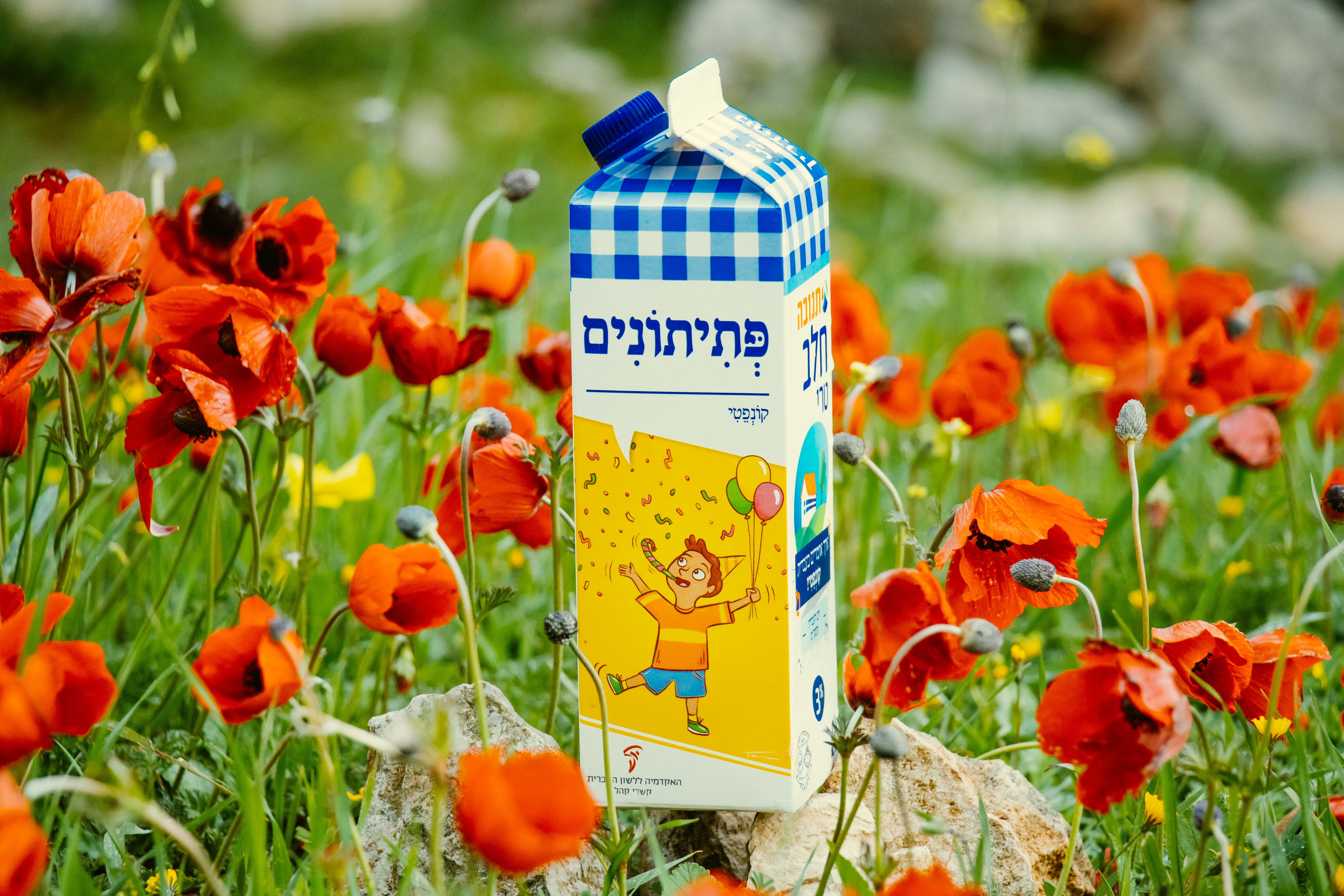 צילום קרטון חלב עם איור מילה מחודשת: קונפטי – פְּתִיתוֹנִים