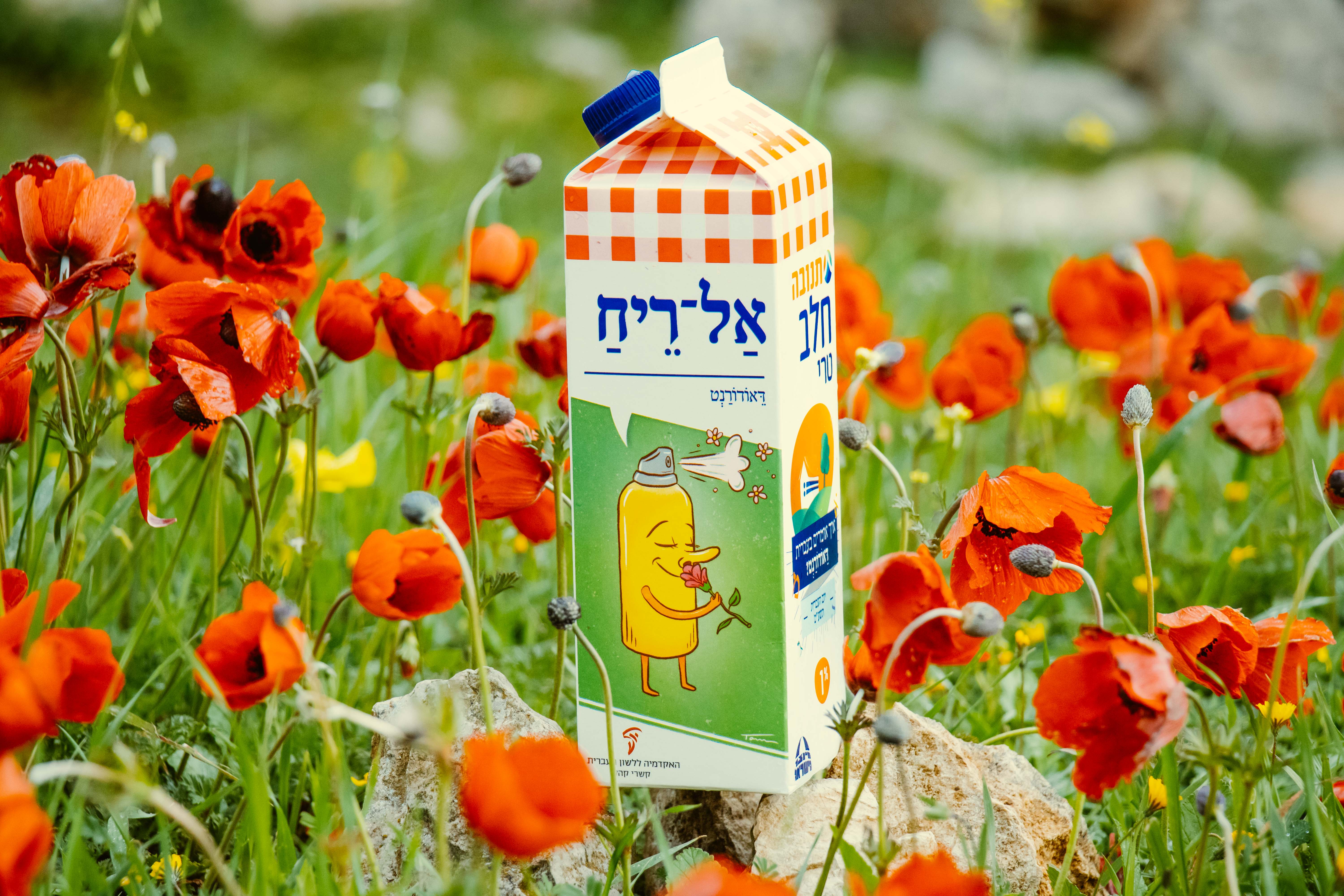 צילום קרטון חלב עם איור מילה מחודשת: דאודורנט – אַל־רֵיחַ