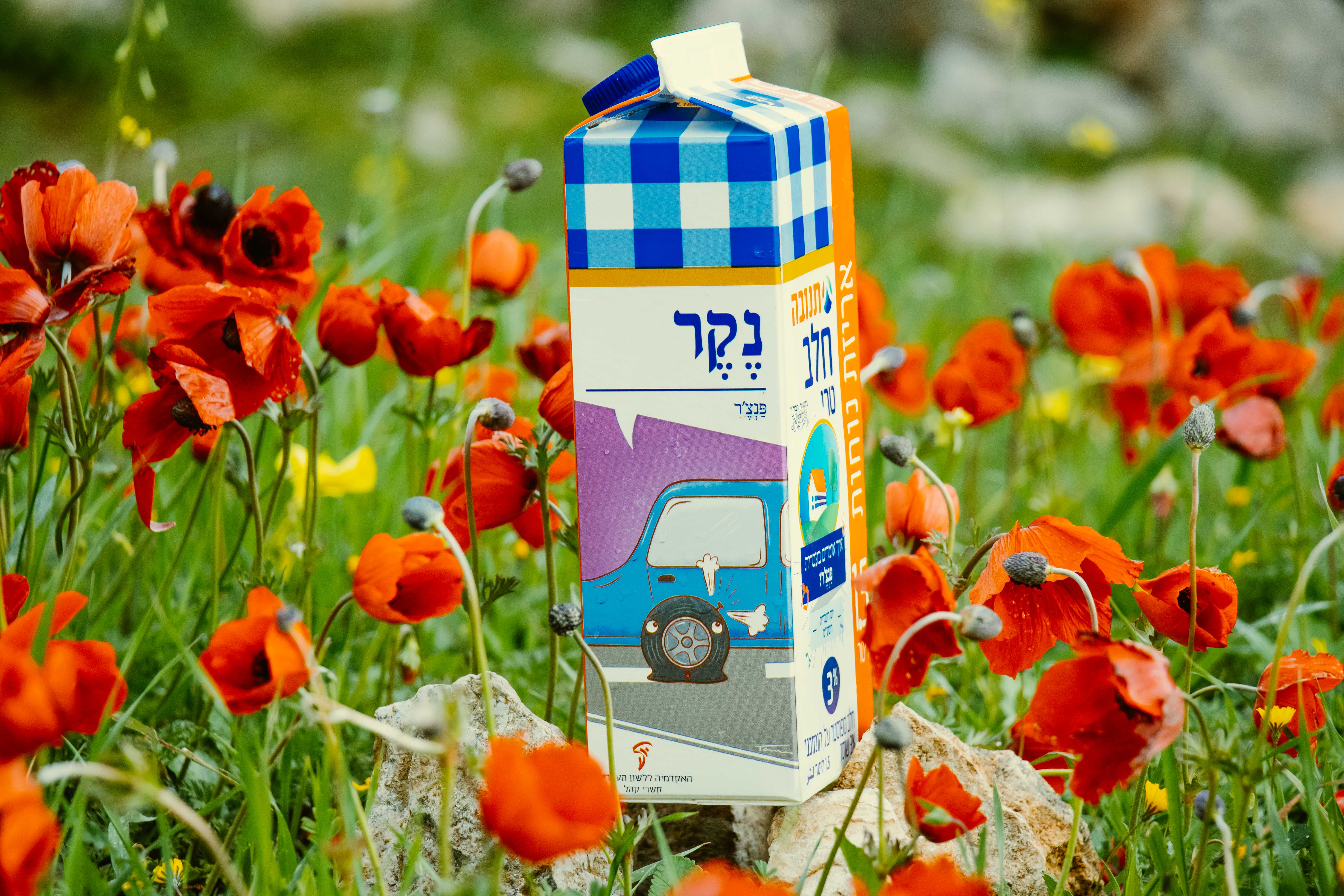 צילום קרטון חלב עם איור מילה מחודשת: פנצ'ר – נֶקֶר