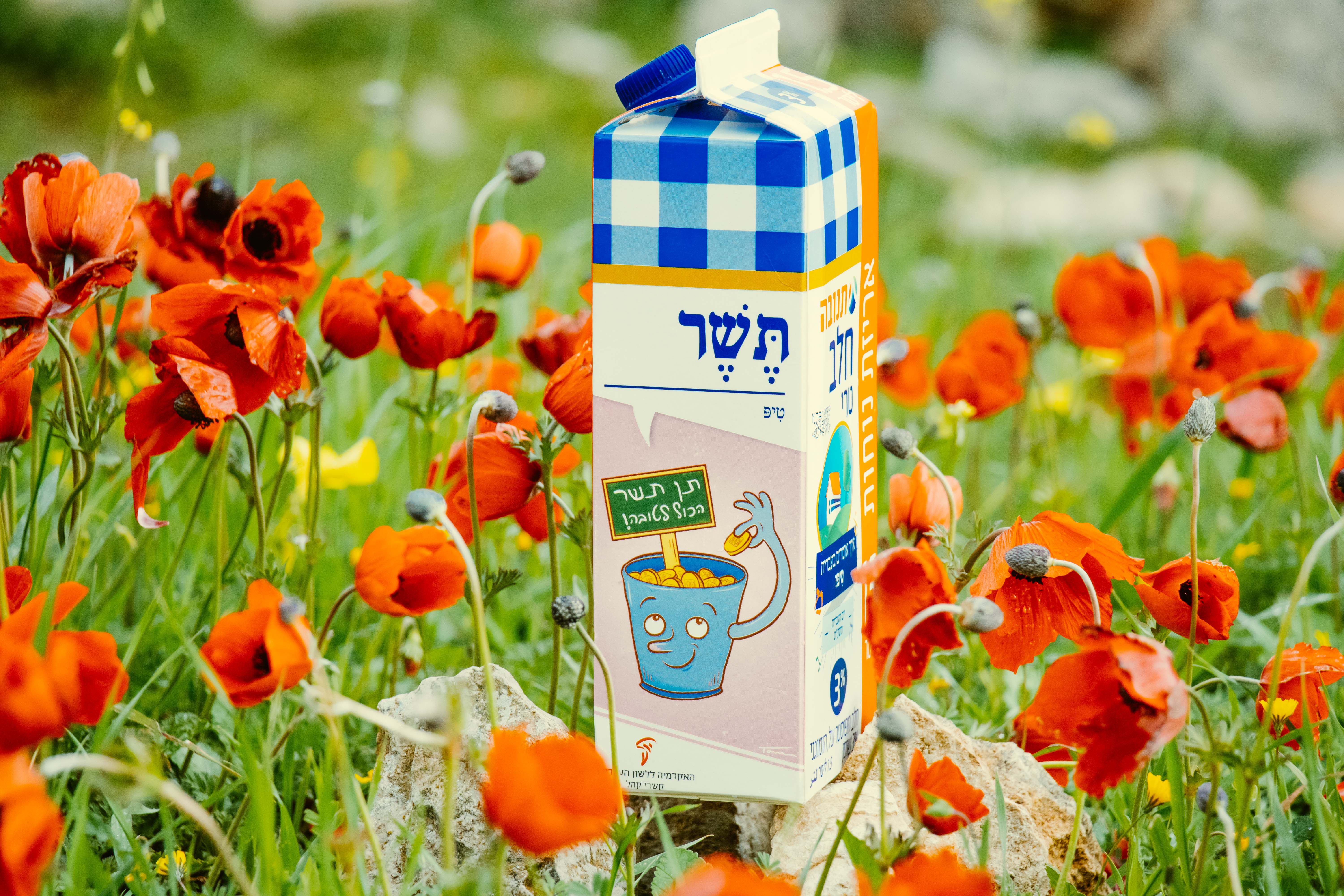 צילום קרטון חלב עם איור מילה מחודשת: טיפ – תֶּשֶׁר