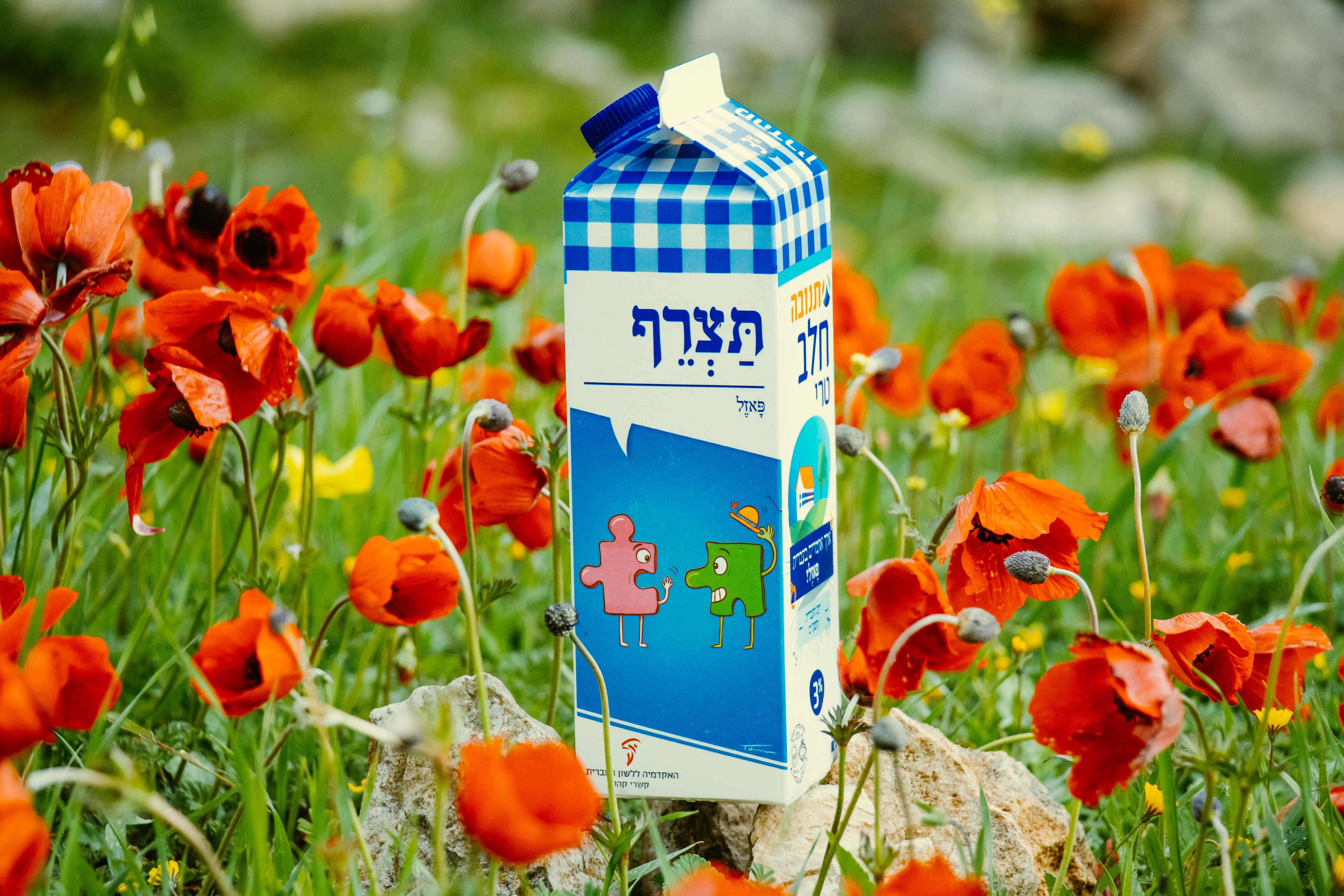 צילום קרטון חלב עם איור מילה מחודשת: פאזל – תַּצְרֵף