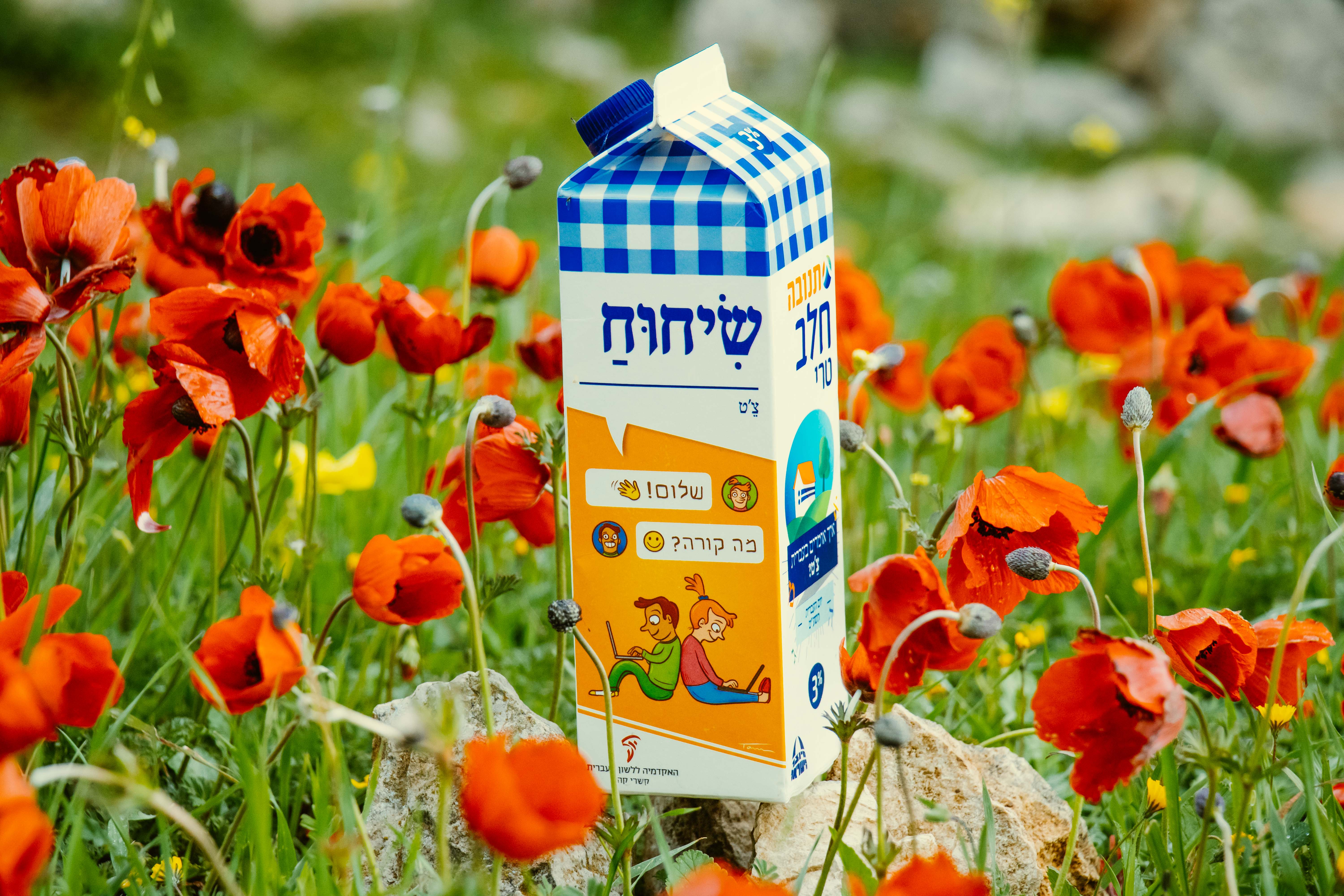 צילום קרטון חלב עם איור מילה מחודשת: צ'ט – שִׂיחוּחַ