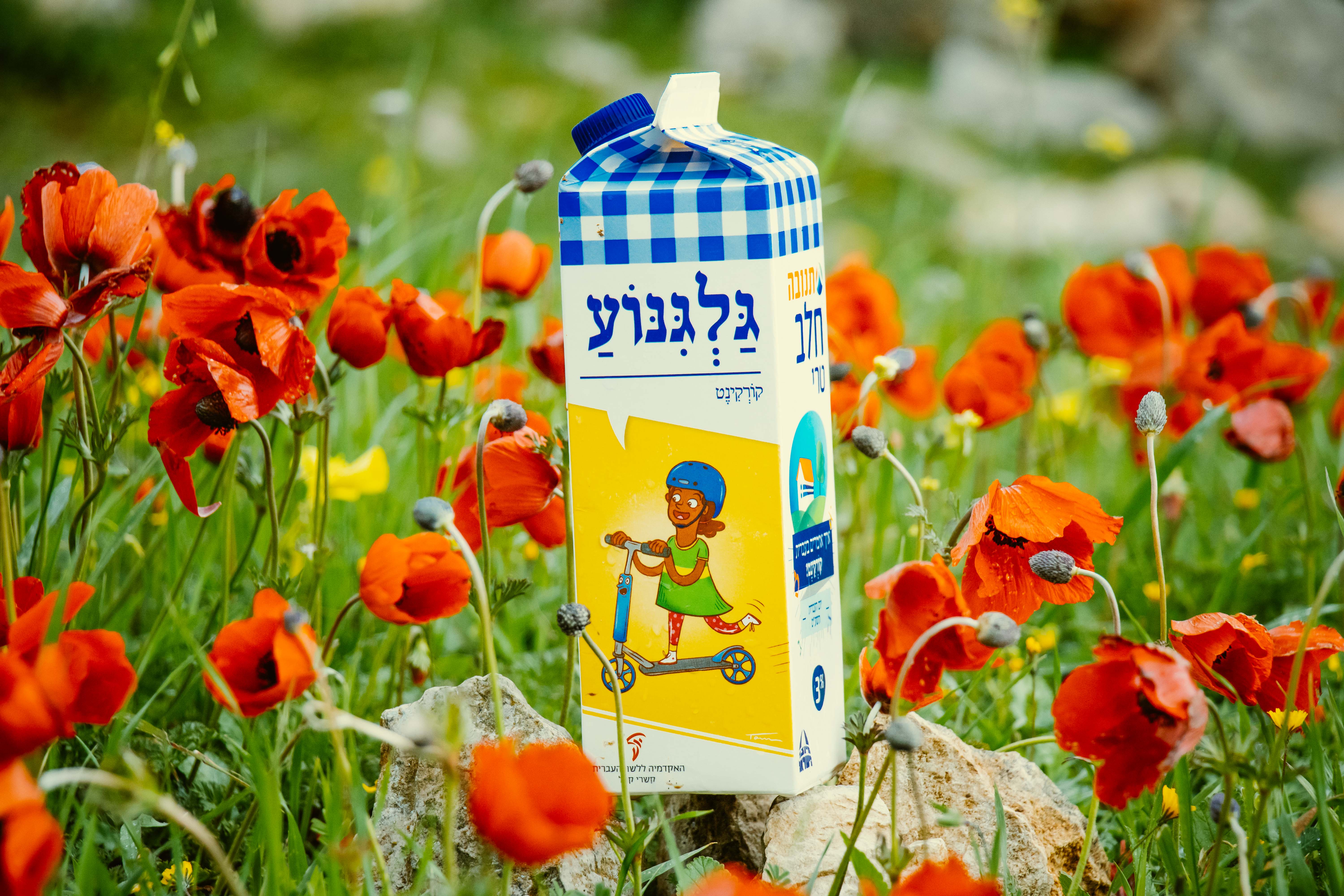 צילום קרטון חלב עם איור מילה מחודשת: קורקינט – גַּלְגִּנּוֹעַ