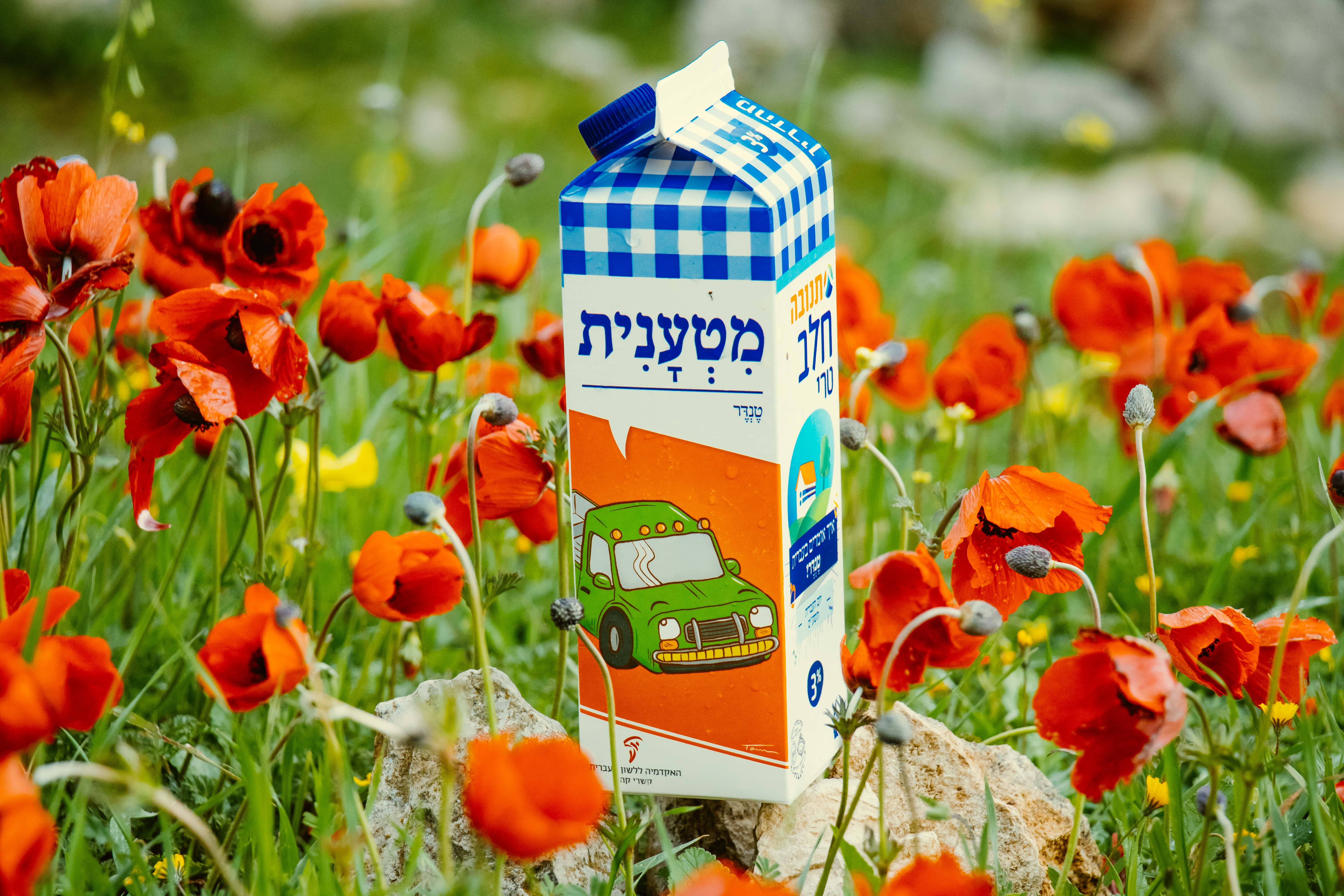 צילום קרטון חלב עם איור מילה מחודשת: טנדר – מִטְעָנִית