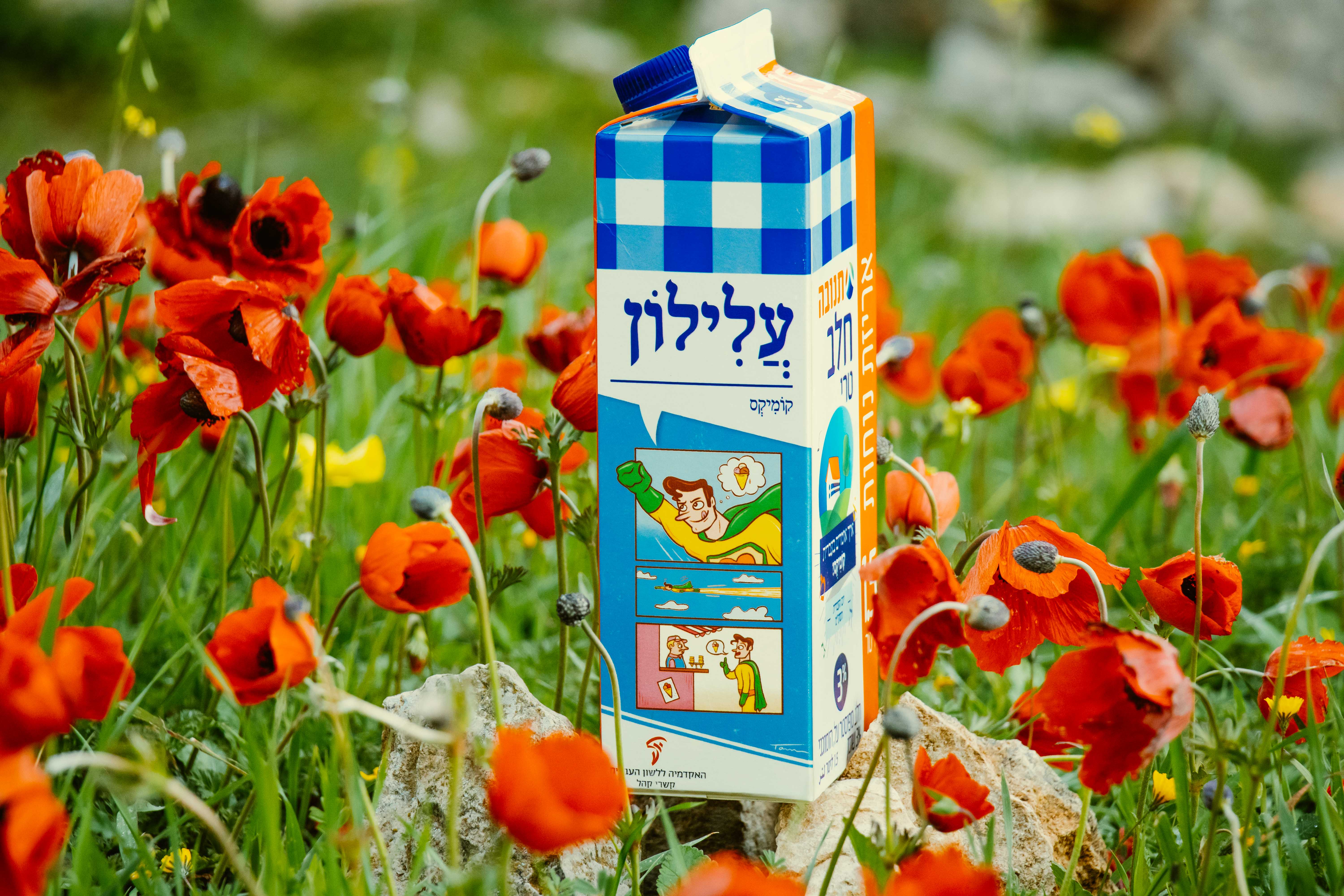 צילום קרטון חלב עם איור מילה מחודשת: קומיקס – עֲלִילוֹן