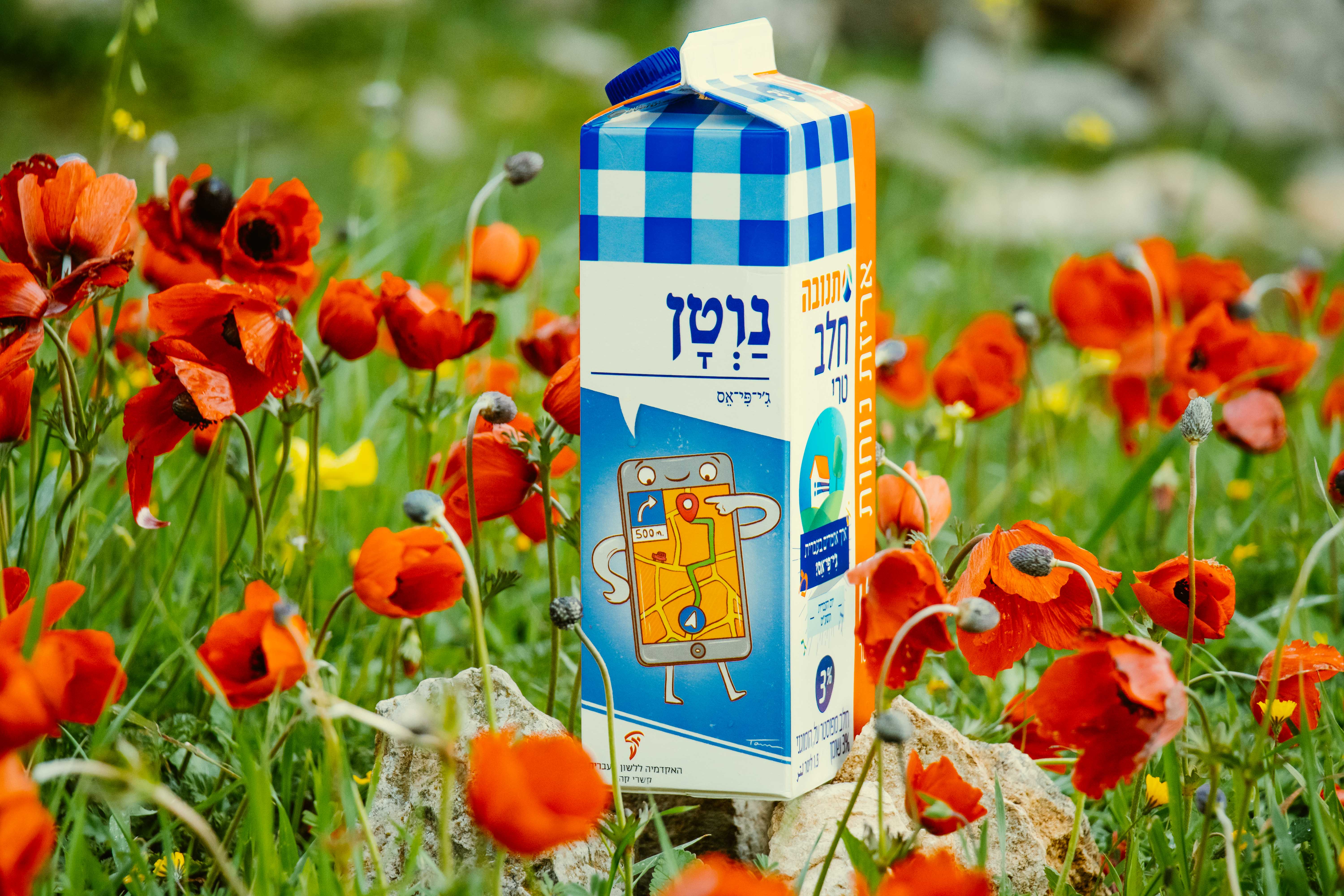 צילום קרטון חלב עם איור מילה מחודשת: ג'י־פי־אס – נַוְטָן