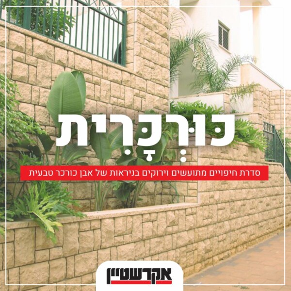 כורכרית