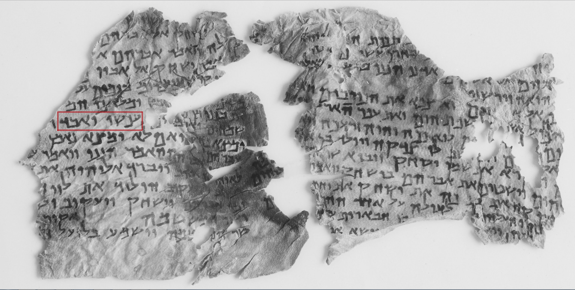 תצלום של מגילת סיפורי התורה, 4ק. 225, באדיבות רשות העתיקות והספרייה המקוונת של מגילות מדבר יהודה ע"ש ליאון לוי