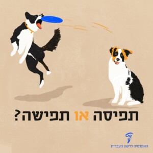 תפיסה או תפישה? איור של כלב יושב וכלב קופץ ותופס צלחת פריזבי