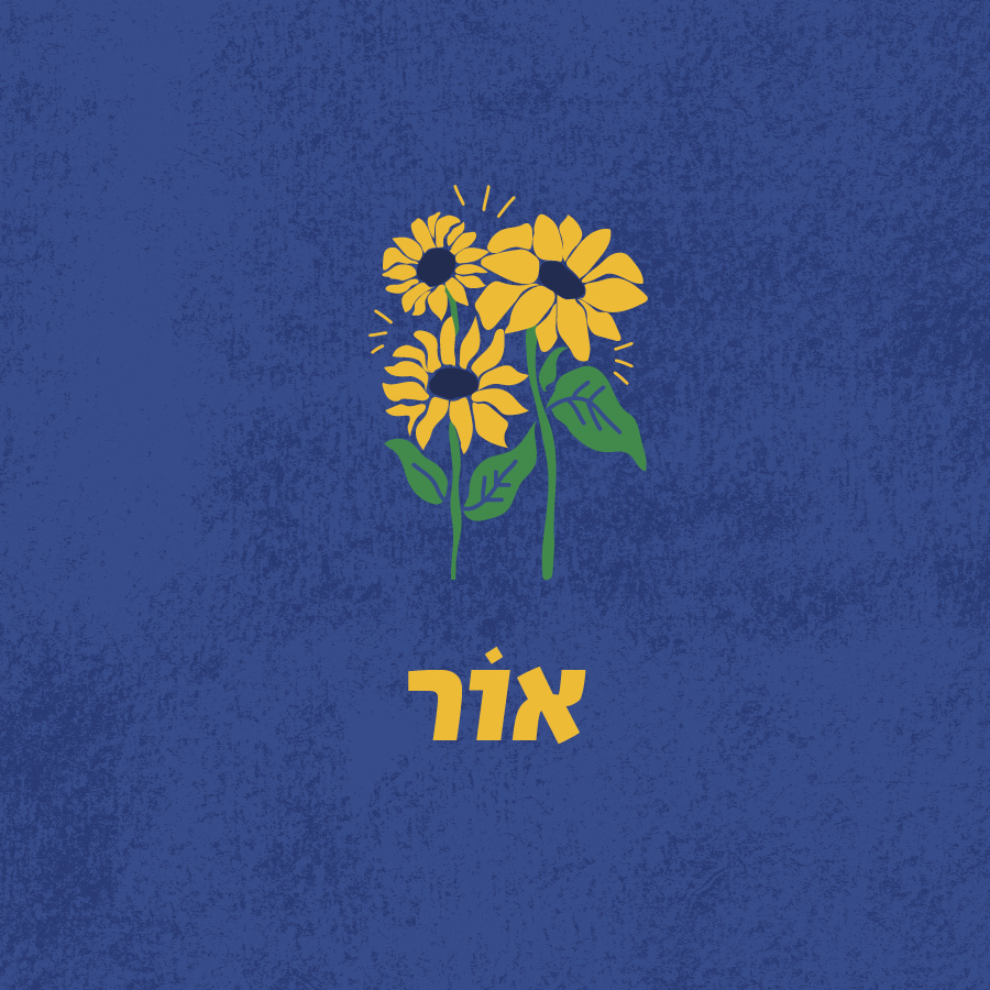 אור
