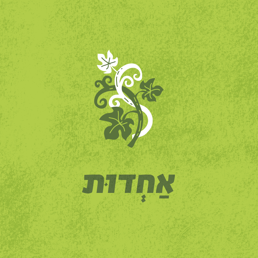 אחדות