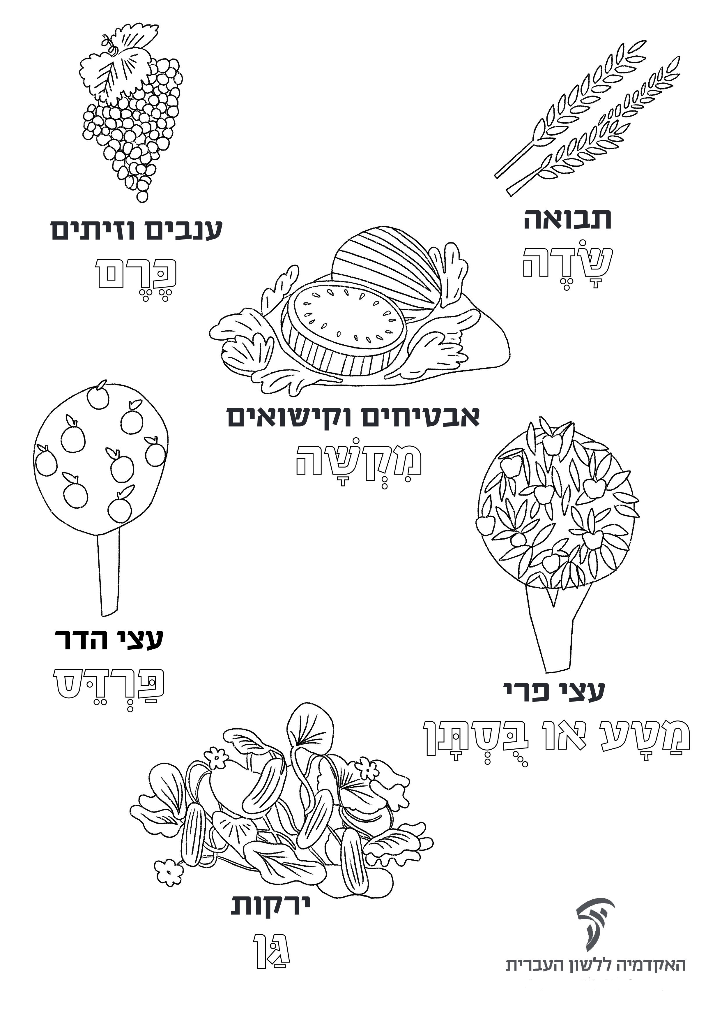 Coloring_Page_02