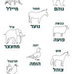 איורים של חיות ושל הקולות שהן עושות: דוב נוהם, חתול מיילל, חמור נוער, כבשה פועה, פיל מחצצר, סוס צוהל, יונה הומה, תרנגול קורא