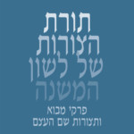 כריכה של ספר: תורת הצורות של לשון המשנה. פרקי מבוא ותצורות שם העצם. משה בר אשר