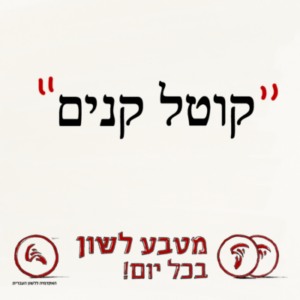 מטבע לשון בכל יום – קוטל קנים