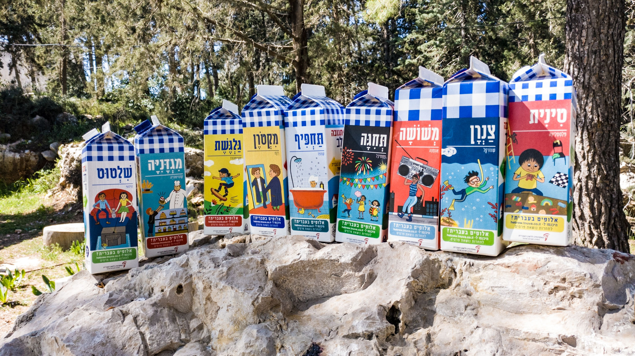 צילום קרטוני חלב ועליהם איורים למילים עבריות מחודשות