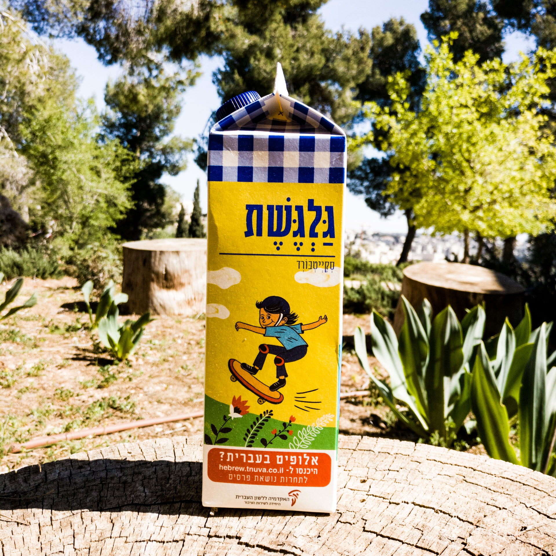 צילום קרטון חלב ועליו איור מילה מחודשת סקייטבורד-גלגשת