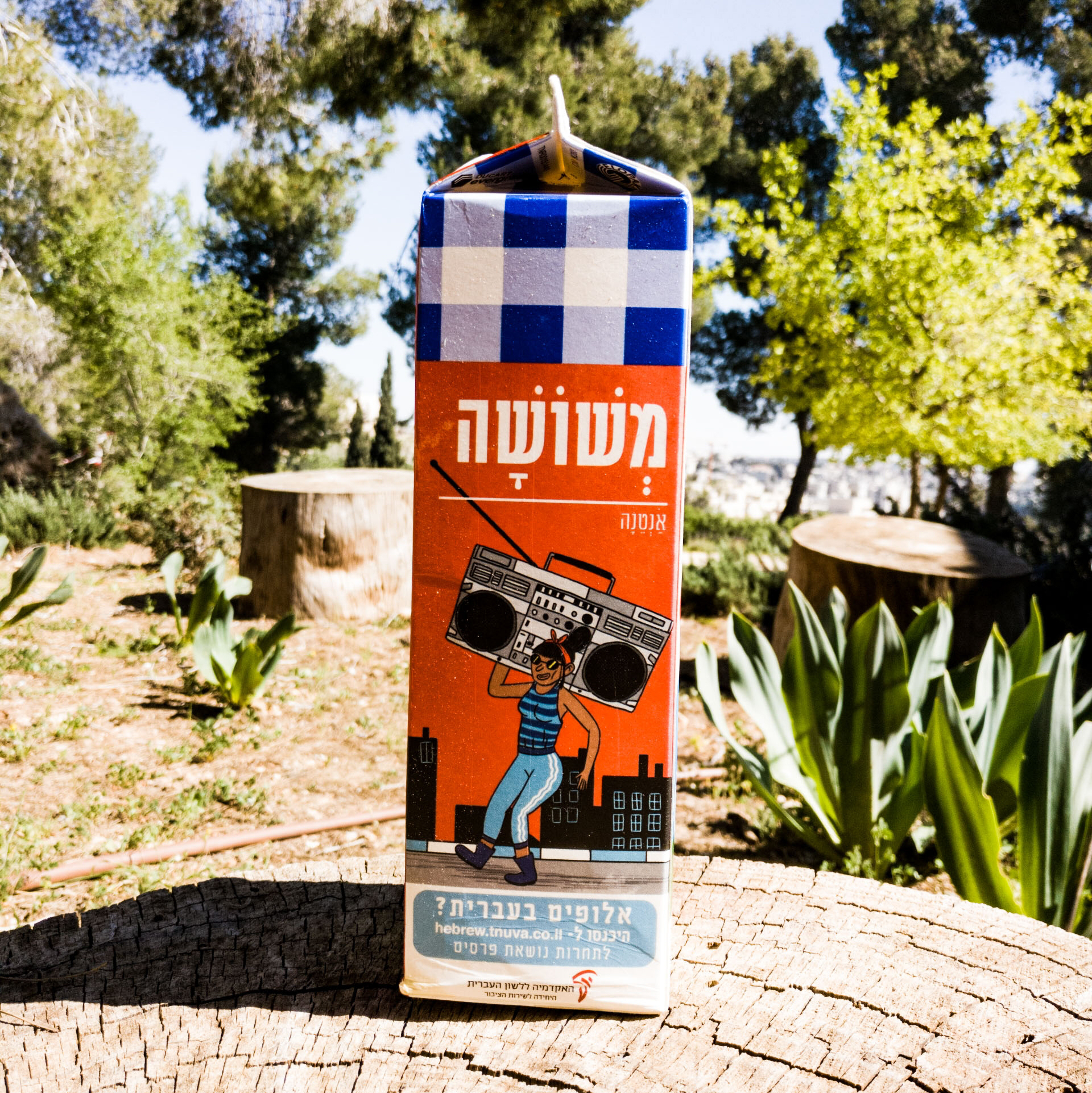 צילום קרטון חלב ועליו איור מילה מחודשת אנטנה-משושה