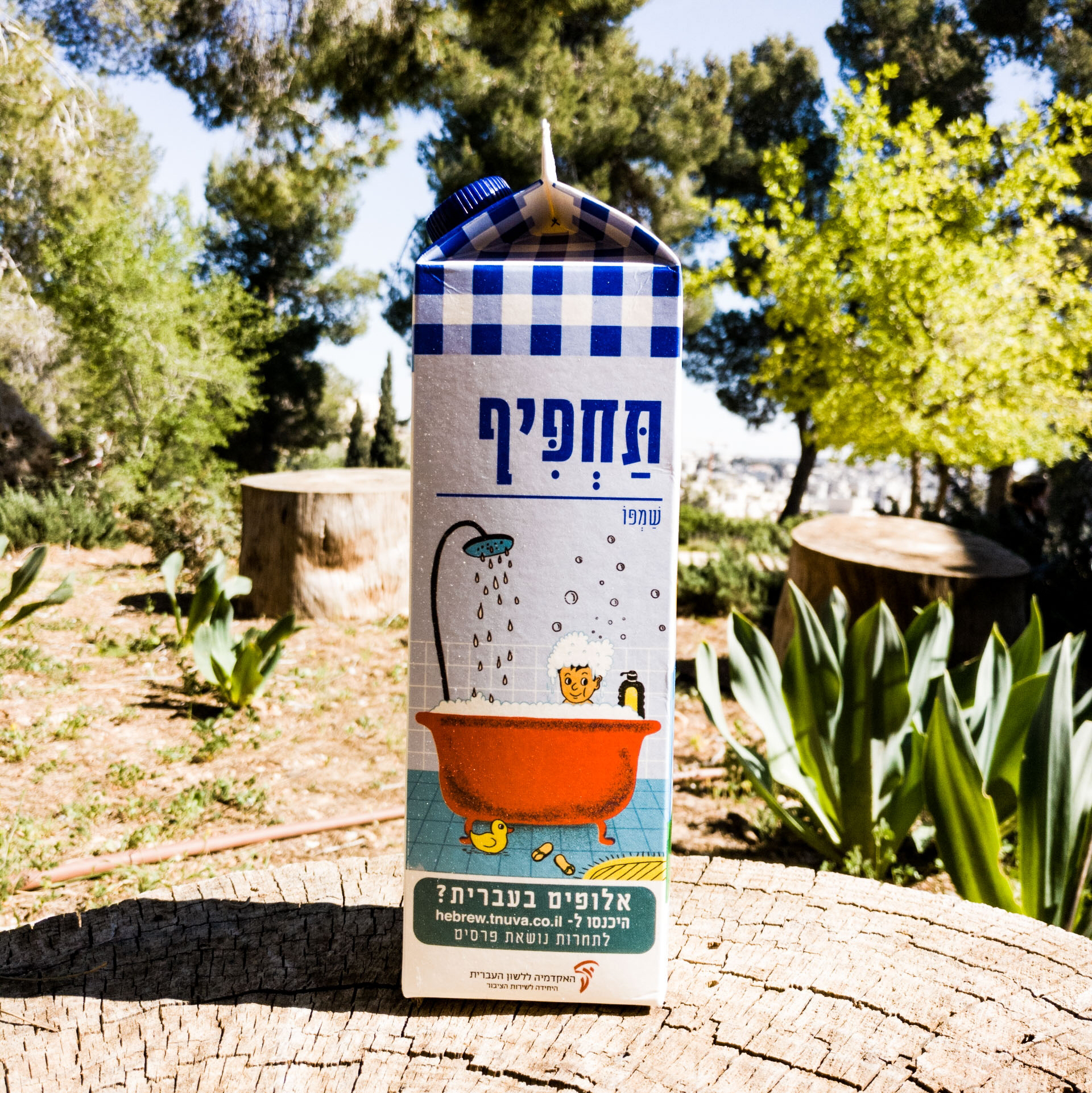 צילום קרטון חלב ועליו איור מילה מחודשת שמפו-תחפיף