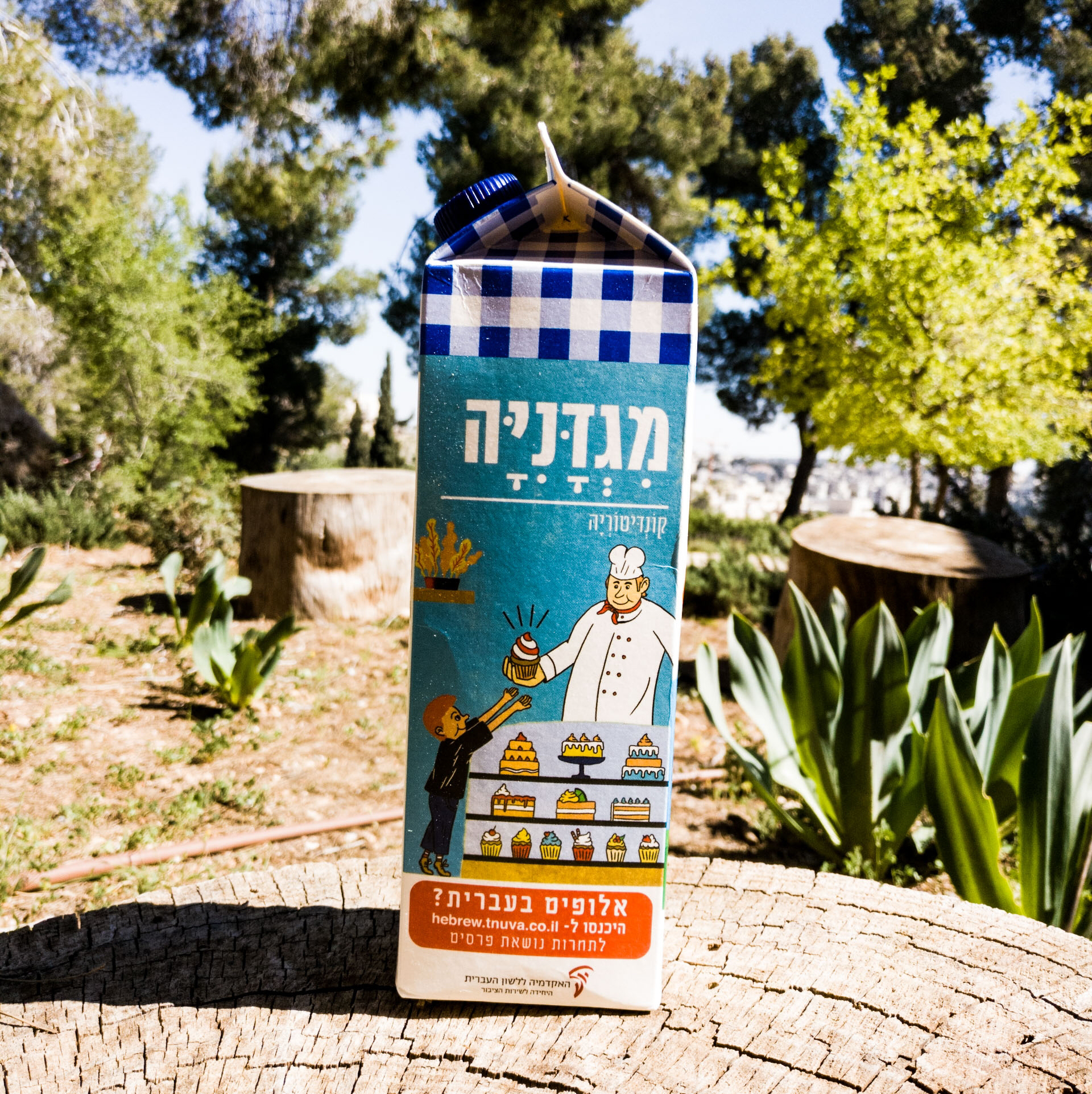 צילום קרטון חלב ועליו איור מילה מחודשת קונדיטוריה-מגדניה