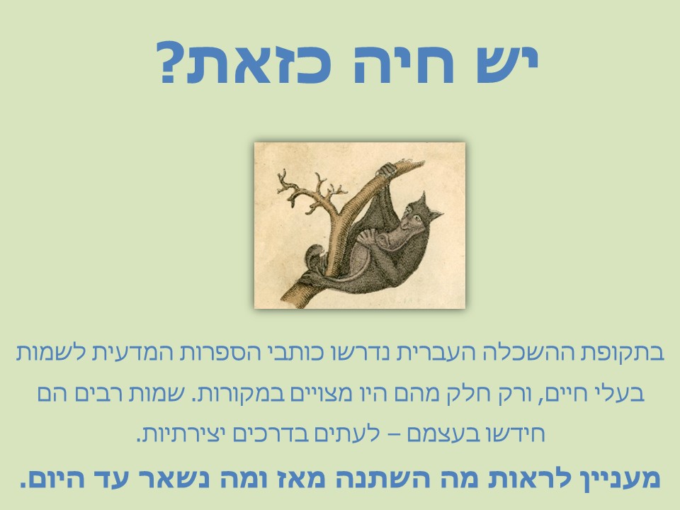 מצגת - שמות בעלי חיים אז והיום העברית החדשה המתגבשת והעברית שלנו היום