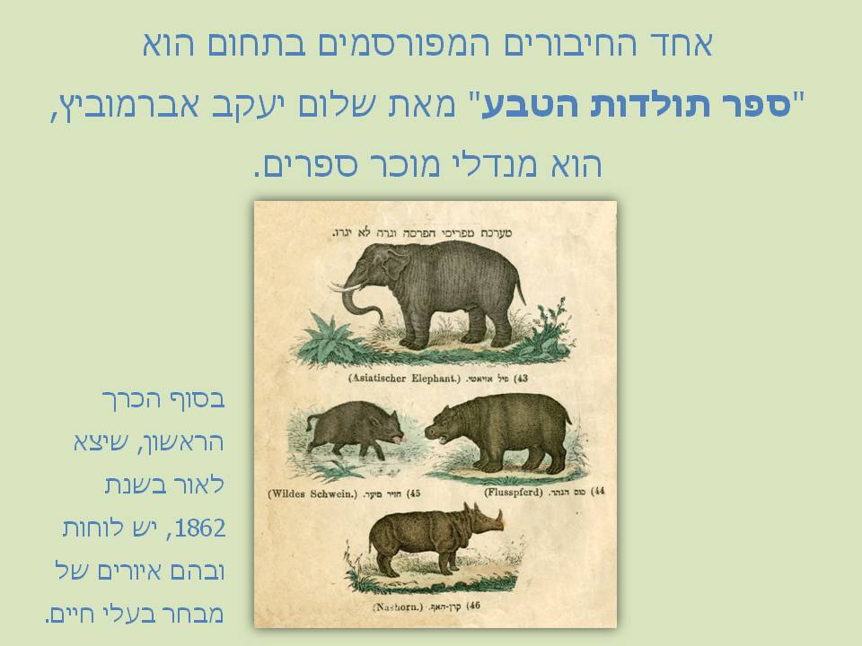 animal4