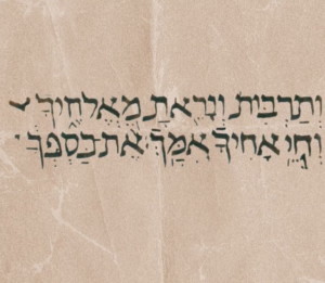 "ותרבית ונראת מאלחיך וחי אחיך אמך את כספך"