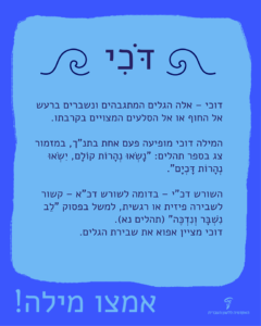 דוכי: אלה הגלים המתגבהים ונשברים ברעש אל החוף או אל הסלעים המצויים בקרבתו. המילה דוכי מופיעה פעם אחת בתנ"ך, במזמור צג בספר תהלים: "נשאו נהרות קולם, ישאו נהרות דכים". השורש דכ"י - בדומה לשורש דכ"א- קשור לשבירה פיזית או רגשית, למשל בפסוק " לב נשבר ונדכה" (תהלים נא). דוכי מציין אפוא את שבירת הגלים. אמצו מילה!