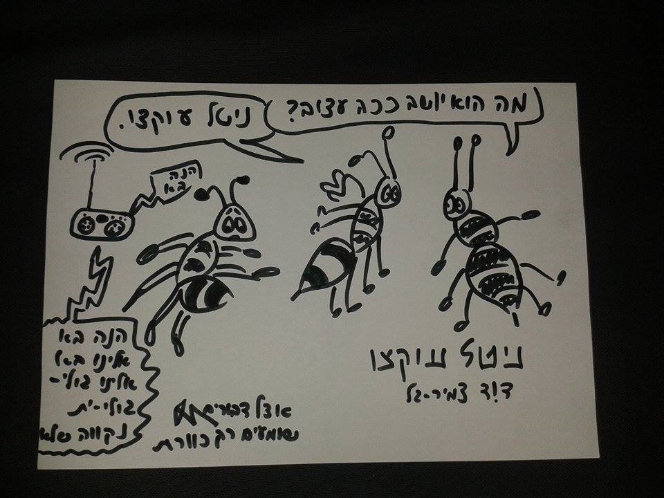 gallery_10