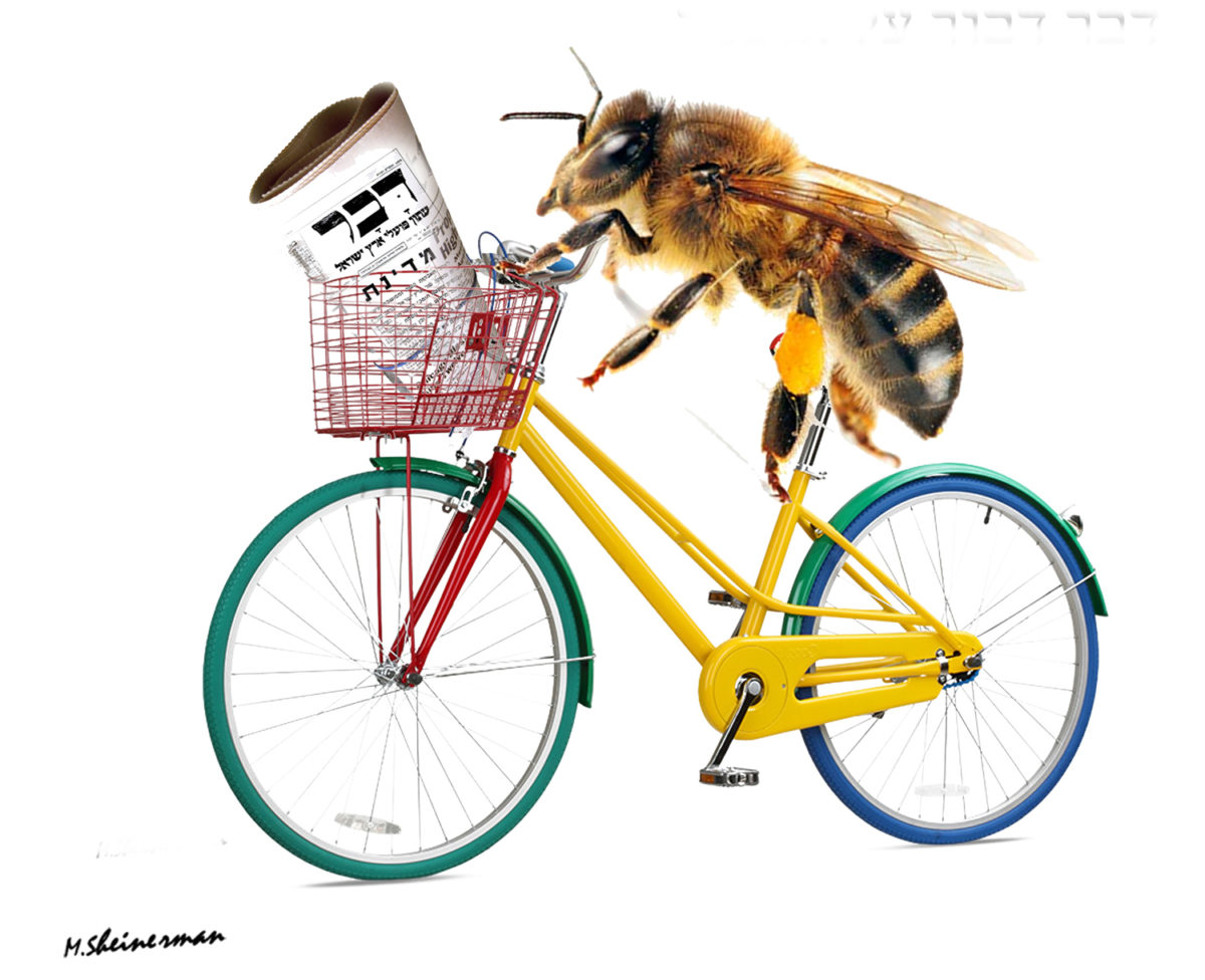 איור ילדים מטבעות לשון