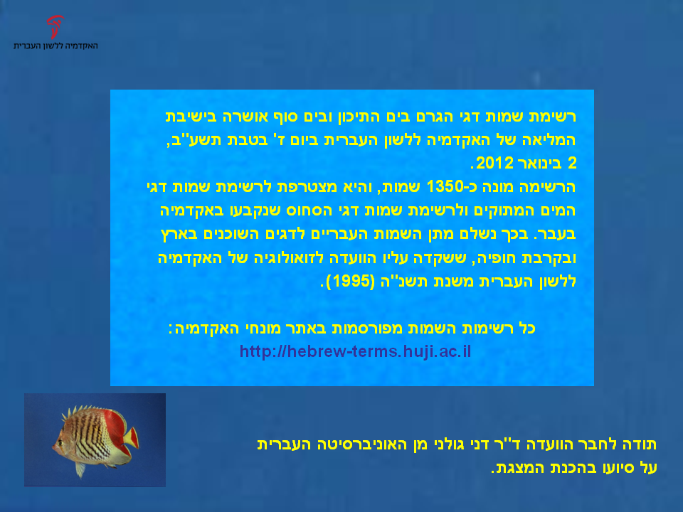 gerem-26