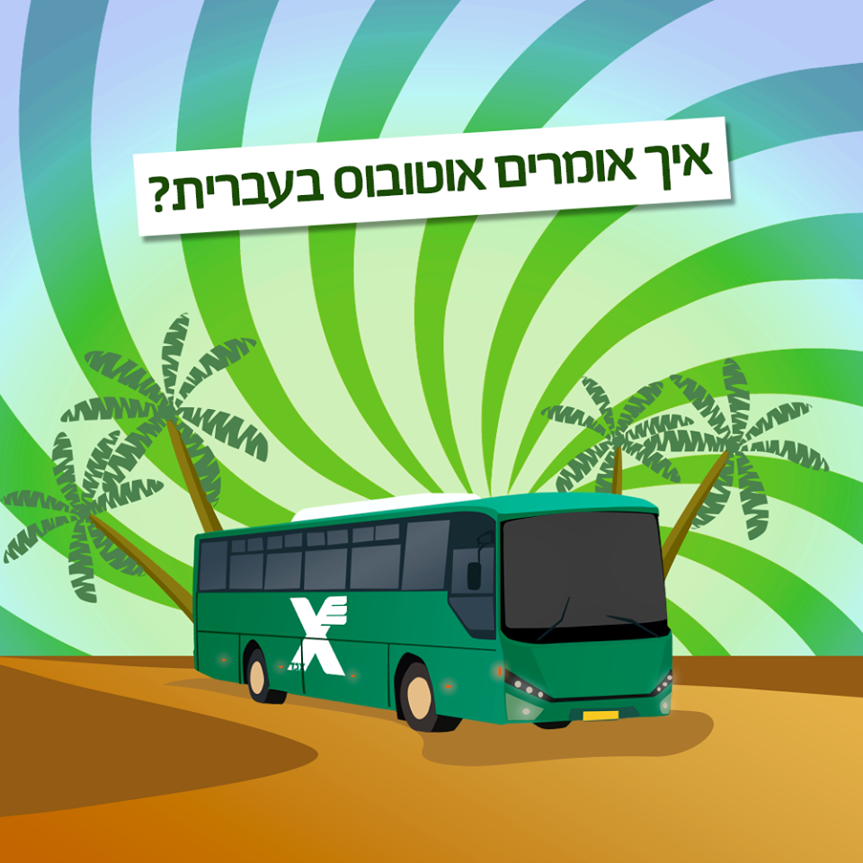 איור אוטובוס אגד על רקע דקלים וכיתוב "איך אומרים אוטובוס בעברית?"