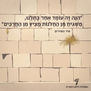 איור של הכותל המערבי והכיתוב: "הִנֵּה זֶה עוֹמֵד אַחַר כָּתְלֵנוּ, מַשְׁגִּיחַ מִן הַחַלֹּנוֹת מֵצִיץ מִן הַחֲרַכִּים" (שיר השירים)