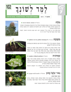 גיליון למד לשונך 102
