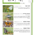 שער למד לשונך 125