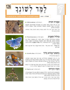 שער למד לשונך 126