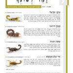למד לשונך 129