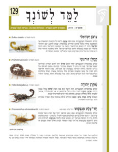 למד לשונך 129
