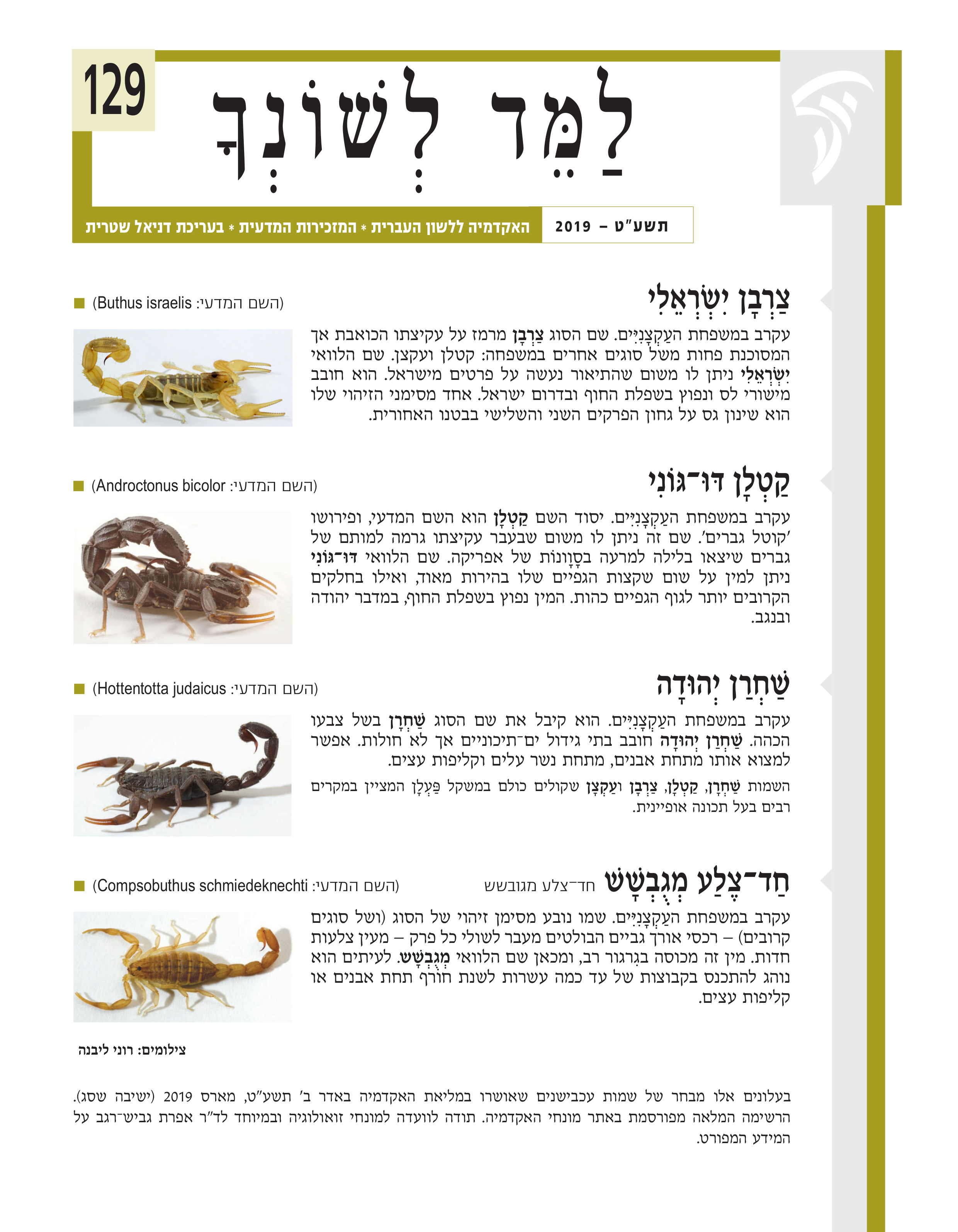 למד לשונך 129