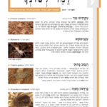 למד לשונך 130
