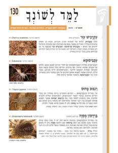 למד לשונך 130