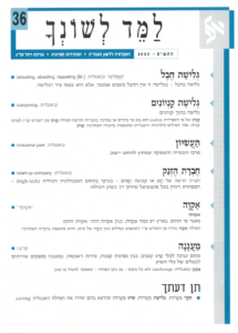 גיליון למד לשונך 36