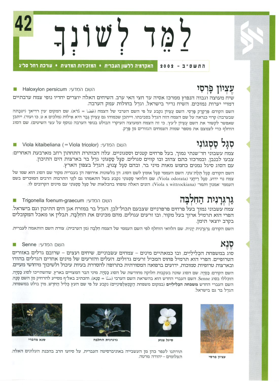 למד לשונך