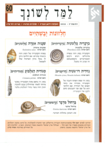 גיליון למד לשונך 60