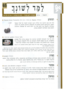 גיליון למד לשונך 65