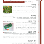 גיליון למד לשונך 79