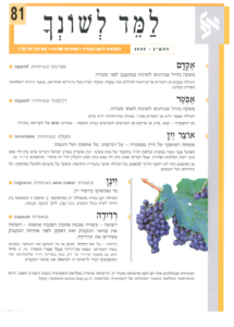גיליון למד לשונך 81