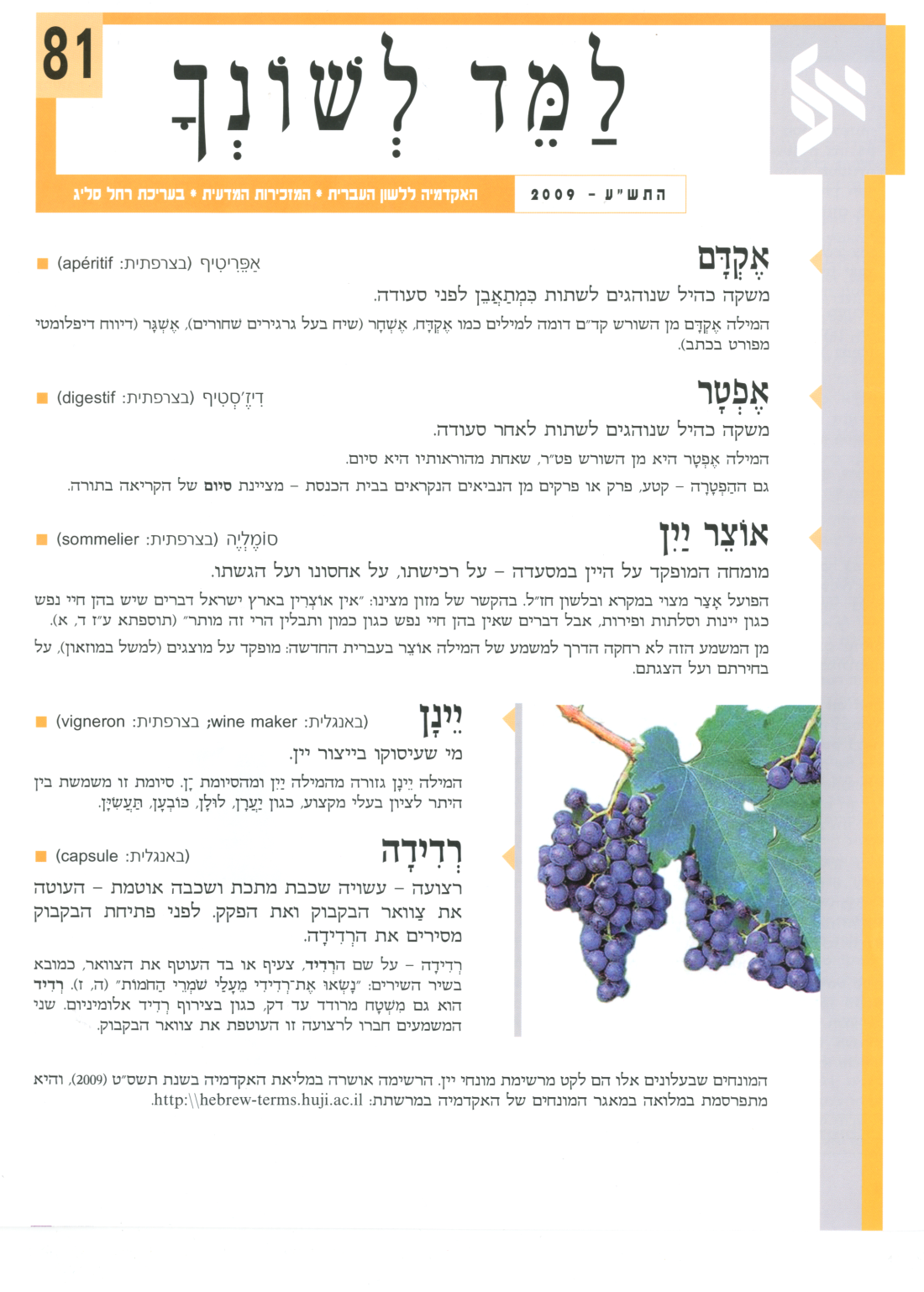 גיליון למד לשונך 81